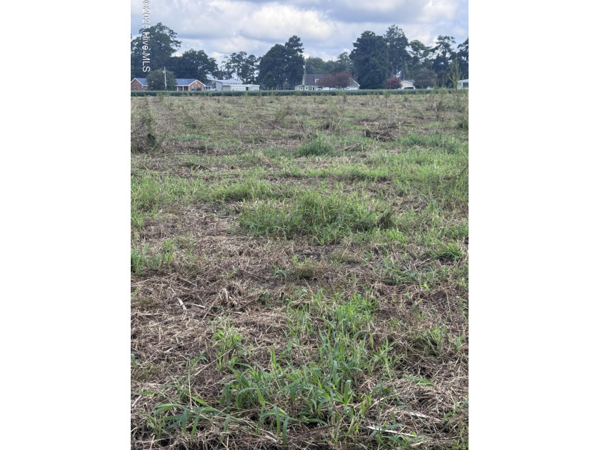 Build your dream home on this spacious 3/4-acre lot located in - Beach Lot for sale in Bath, North Carolina on Beachhouse.com