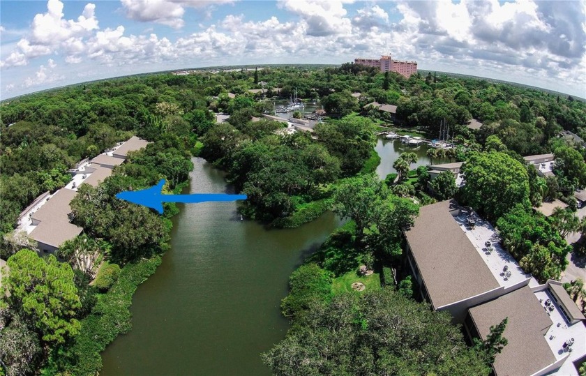 Welcome to Pelican Cove and this beautiful and peaceful - Beach Condo for sale in Sarasota, Florida on Beachhouse.com