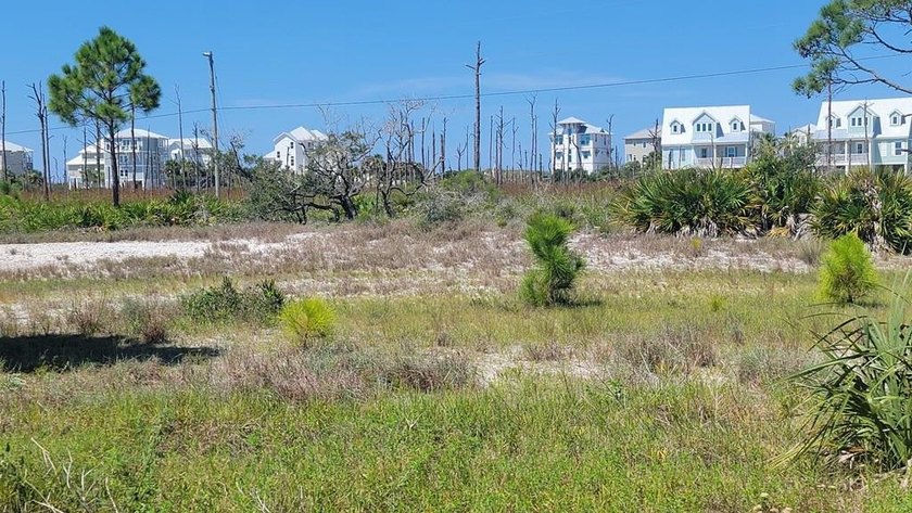 Build Your Dream by the Beach! Whether you're envisioning a - Beach Lot for sale in Cape San Blas, Florida on Beachhouse.com