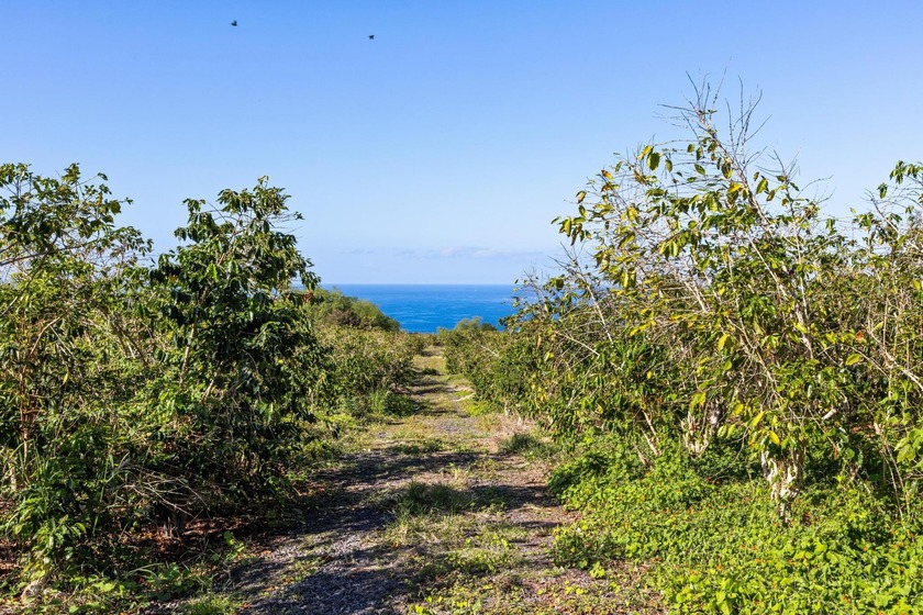 5.355 acres at the very end of Meli Road in beautiful Captain - Beach Acreage for sale in Captain Cook, Hawaii on Beachhouse.com