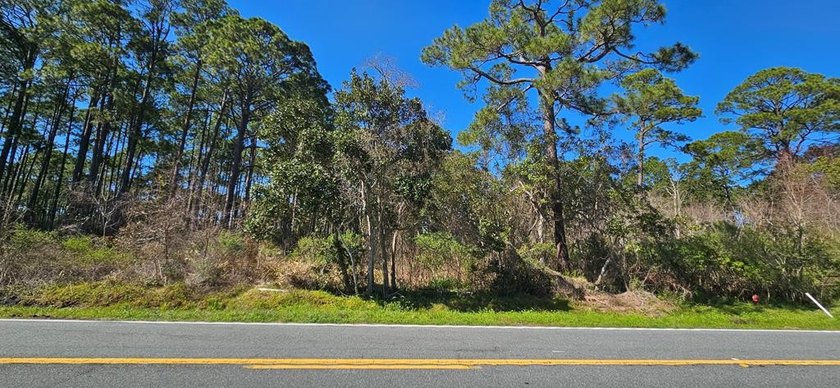Bayview lot with 100ft of road frontage. Build your dream home - Beach Lot for sale in Carabelle, Florida on Beachhouse.com