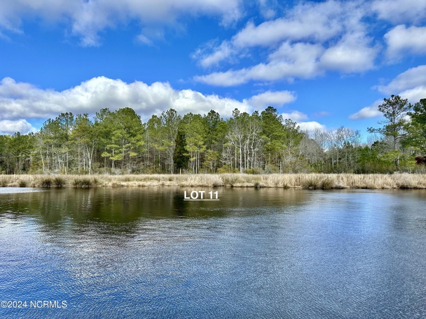 Beautiful wooded water front lot that is only 5 minutes from the - Beach Acreage for sale in Belhaven, North Carolina on Beachhouse.com