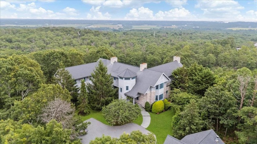 The Most Architecturally Remarkable Residence in Water Mill. 6+ - Beach Home for sale in Water Mill, New York on Beachhouse.com