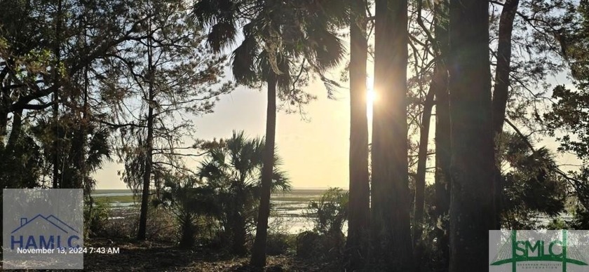 Beautiful cleared marsh front lot located in the serene coastal - Beach Lot for sale in Midway, Georgia on Beachhouse.com