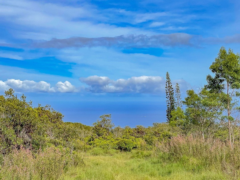 Experience the magic of Hamakua Coast living on this - Beach Acreage for sale in Papaaloa, Hawaii on Beachhouse.com