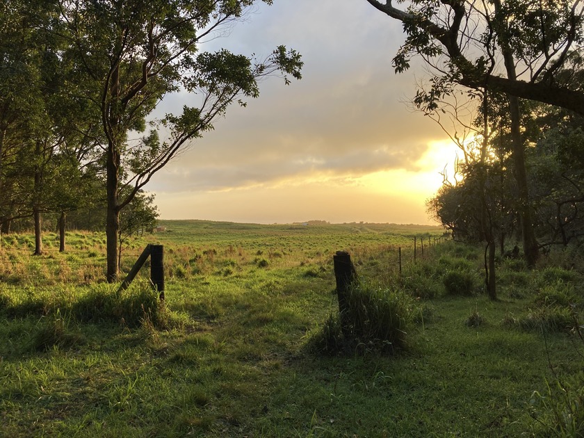 Rarely available, exceptionally private 3-acre parcel located - Beach Acreage for sale in Naalehu, Hawaii on Beachhouse.com