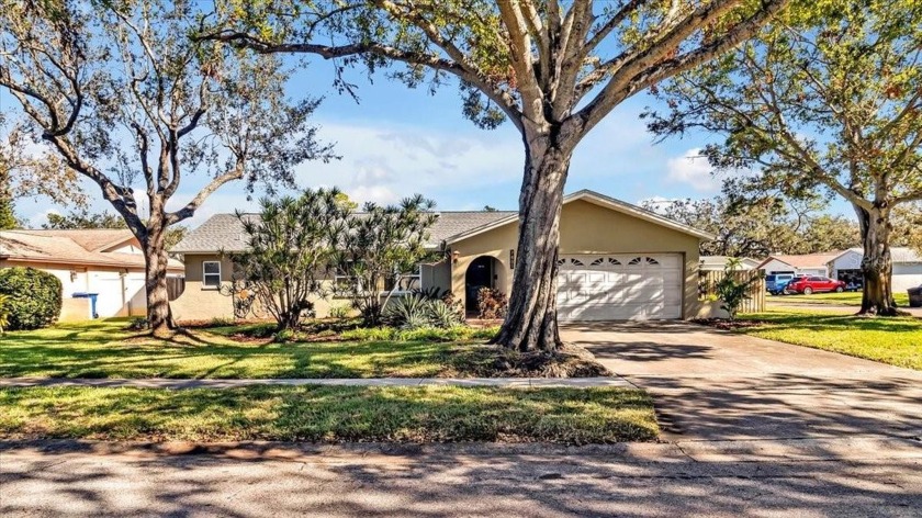 **Stunning Home for Sale in Cinnamon Lake Neighborhood - 7801 - Beach Home for sale in St. Petersburg, Florida on Beachhouse.com