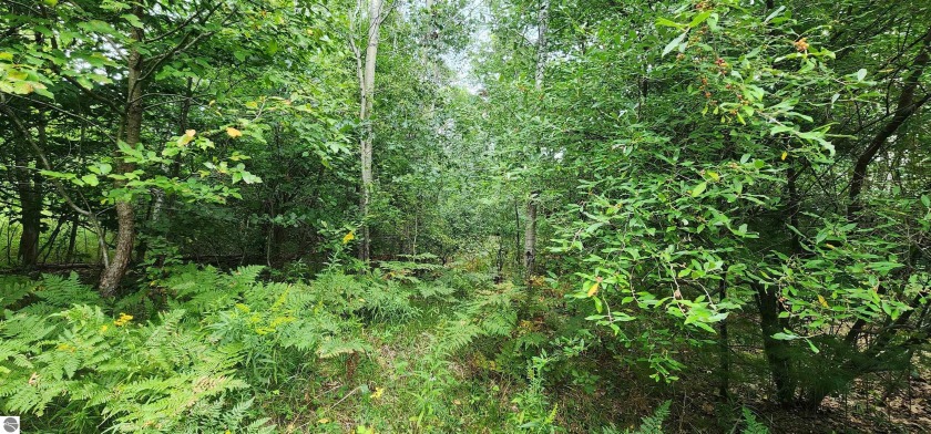 **Dream Property Near Rainbow Bend River Access** This is your - Beach Acreage for sale in Manistee, Michigan on Beachhouse.com