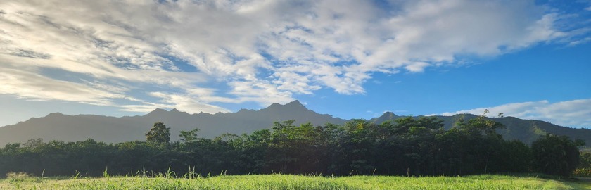 An extraordinary 7.458-acre canvas on Kauai's prestigious North - Beach Acreage for sale in Kilauea, Hawaii on Beachhouse.com