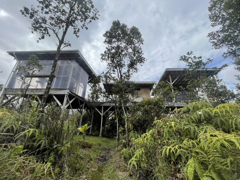 Tropical Treehouse Retreat in the Rainforest. 2 Bedroom 1 - Beach Home for sale in Mountain View, Hawaii on Beachhouse.com