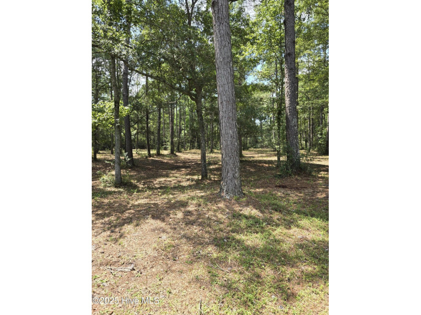 VERY VERY PRIVATE 3.36 acres! Great PRICE reduced to 175,000 - Beach Acreage for sale in Shallotte, North Carolina on Beachhouse.com