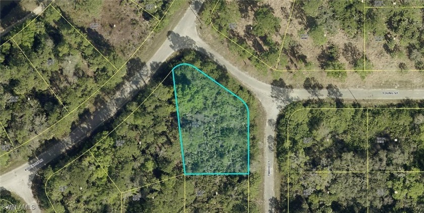 Attention Investors and Home Builders. Recently reduced for - Beach Lot for sale in Lehigh Acres, Florida on Beachhouse.com