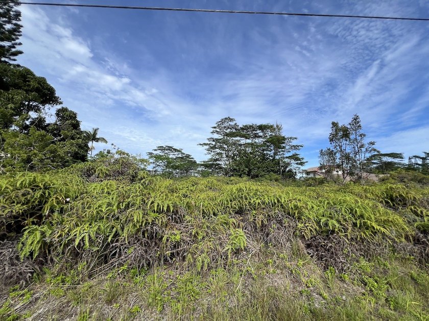 Top choice for vacant lots in HPP! Lightly wooded with mostly - Beach Lot for sale in Keaau, Hawaii on Beachhouse.com