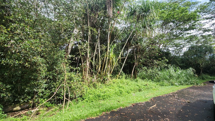 Vacant wooded lot on a quiet, dead-end street in Hawaiian Shores - Beach Lot for sale in Pahoa, Hawaii on Beachhouse.com