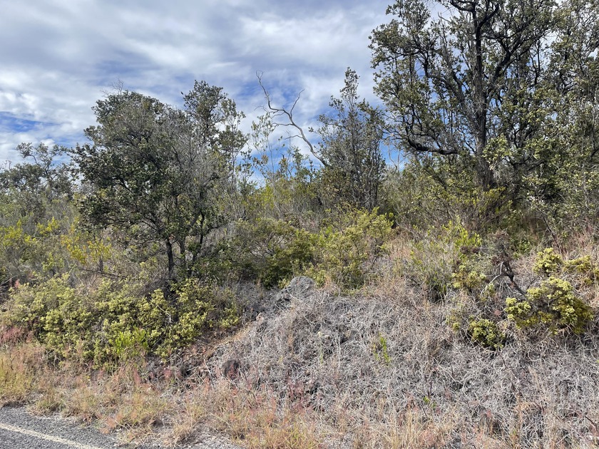 Great opportunity to own two adjacent 1 acre lots with beautiful - Beach Lot for sale in Ocean View, Hawaii on Beachhouse.com