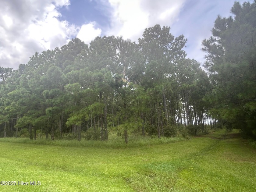 WATERFRONT PROPERTY!! 297 Garbacon Drive features almost an acre - Beach Lot for sale in Beaufort, North Carolina on Beachhouse.com