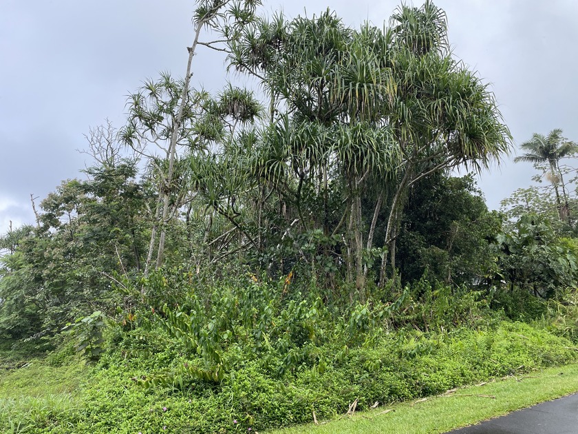Aloha and Welcome to this lovely vacant land listing on paved - Beach Lot for sale in Pahoa, Hawaii on Beachhouse.com