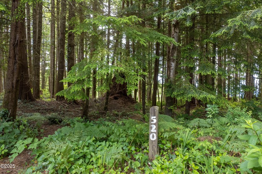 If you're drawn to tranquil coastal living with resort-style - Beach Lot for sale in Gleneden Beach, Oregon on Beachhouse.com
