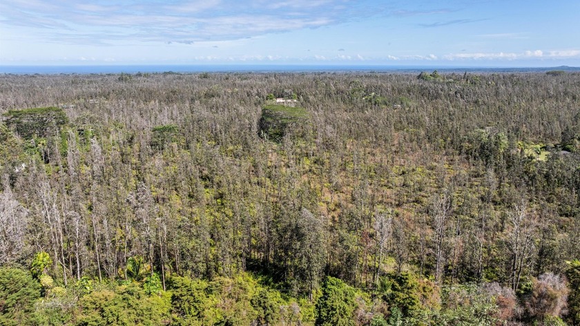 Escape to the quiet side of Hawaii with these two untouched - Beach Acreage for sale in Kurtistown, Hawaii on Beachhouse.com