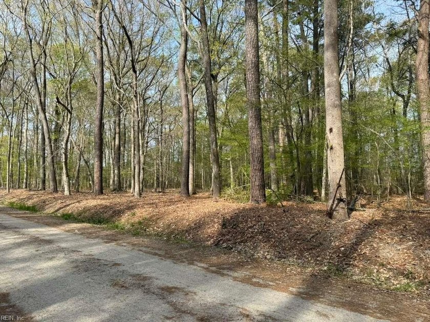 Rare opportunity to own over 5 acres of wooded land in Virginia - Beach Acreage for sale in Virginia Beach, Virginia on Beachhouse.com