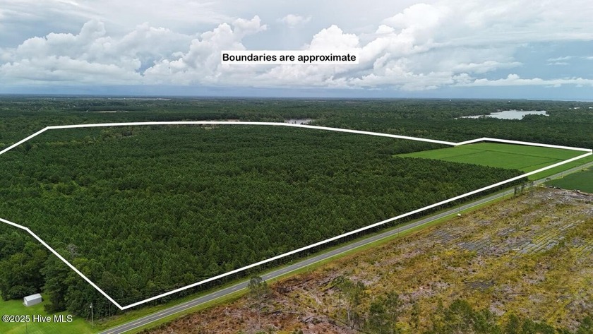 This 210-acre tract off Oriental Road in Pamlico County, NC - Beach Acreage for sale in Oriental, North Carolina on Beachhouse.com