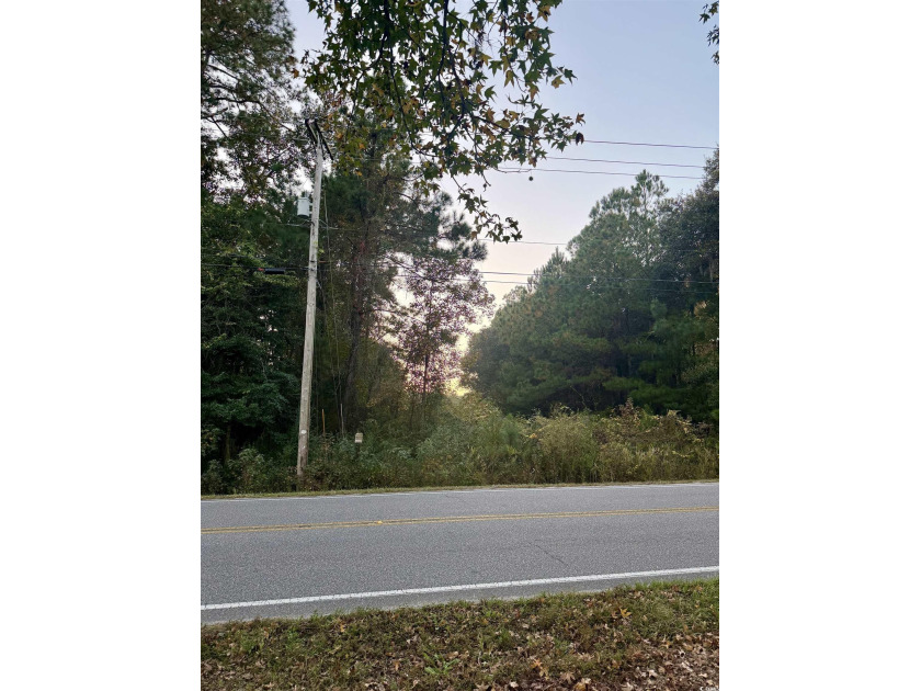 Rare opportunity to acquire a fully approved 4-acre subdivision - Beach Acreage for sale in Pawleys Island, South Carolina on Beachhouse.com