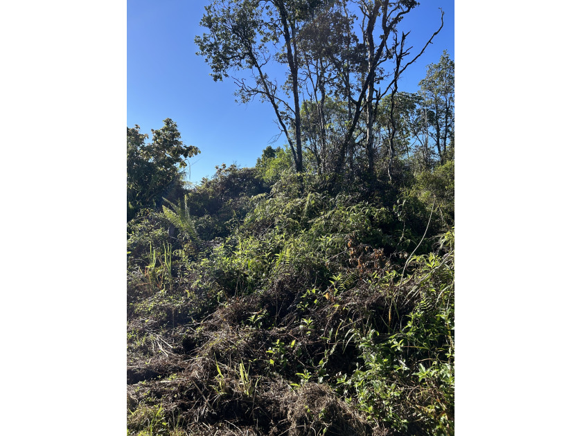 One acre lot in the sunny area of Hawaiian Paradise Park - Beach Lot for sale in Keaau, Hawaii on Beachhouse.com