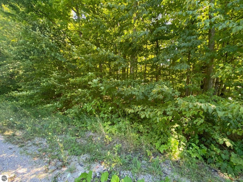 Wooded 0.30-acre parcel located on the corner of Sugar Maple Dr - Beach Lot for sale in Cedar, Michigan on Beachhouse.com