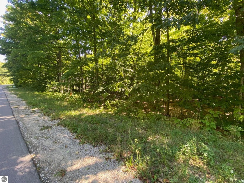 Wooded 0.34-acre parcel in the Sugar Loaf Chalets neighborhood - Beach Lot for sale in Cedar, Michigan on Beachhouse.com