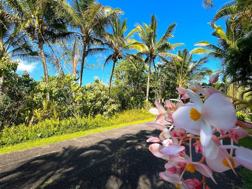 Tucked away at the end of a quiet street, this improved but - Beach Lot for sale in Pahoa, Hawaii on Beachhouse.com