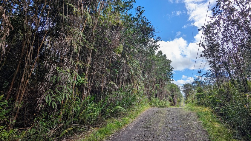 Discover the potential of this expansive 6-acre parcel located - Beach Acreage for sale in Mountain View, Hawaii on Beachhouse.com