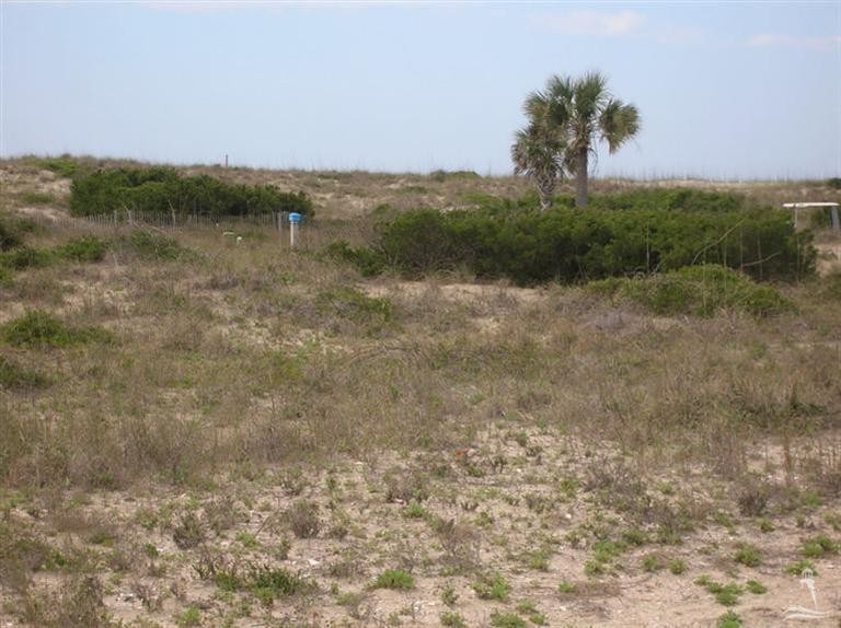 Oceanfront Homesite waiting for the right family to build their - Beach Lot for sale in Bald Head Island, North Carolina on Beachhouse.com