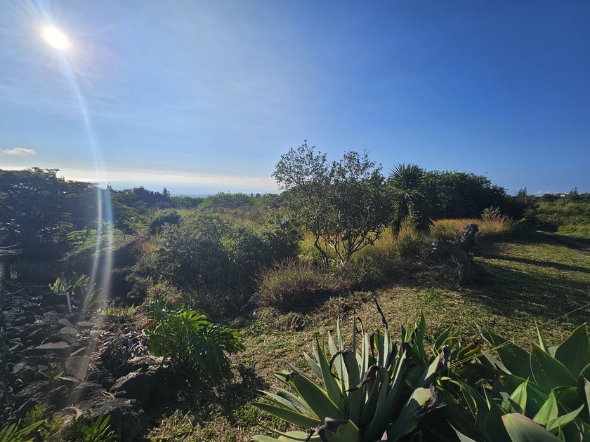 Owner financing is available on this beautiful lot with a great - Beach Lot for sale in Naalehu, Hawaii on Beachhouse.com
