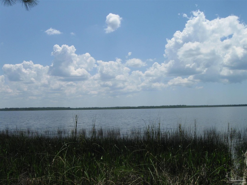 Very nice property with 100 feet on the bay. The lot abuts a - Beach Lot for sale in Milton, Florida on Beachhouse.com