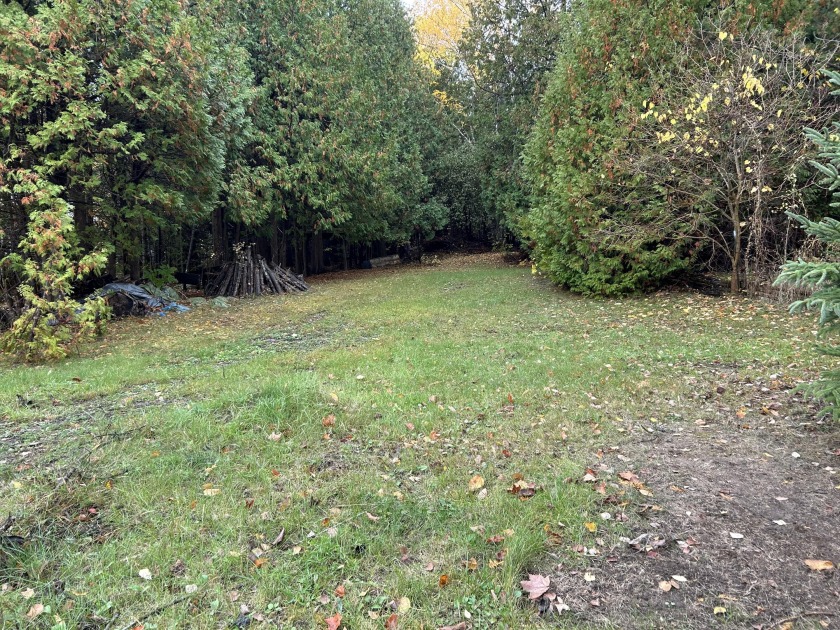 Beautiful vacant lot, complete with electric, well and septic - Beach Lot for sale in Presque Isle, Michigan on Beachhouse.com