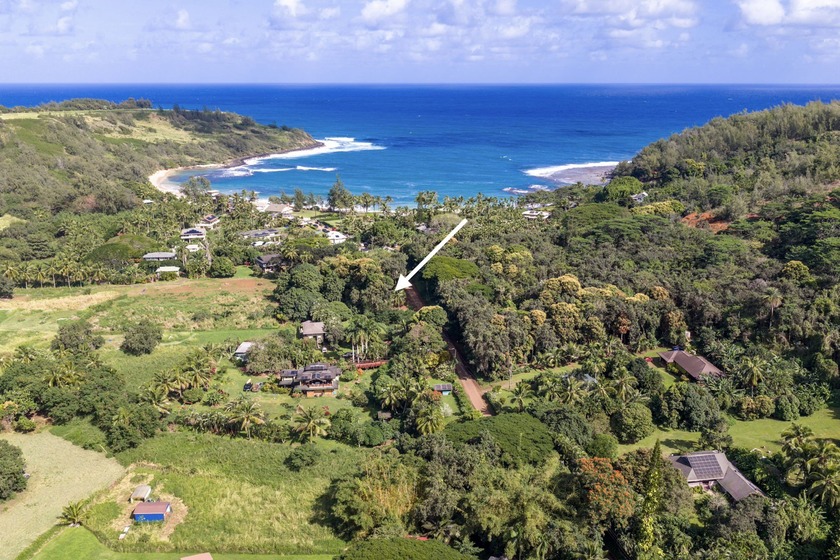 Just steps from Moloaa Beach and bordering a tranquil stream - Beach Lot for sale in Anahola, Hawaii on Beachhouse.com