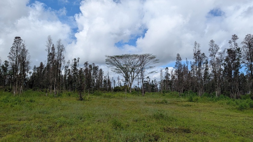 Aloha & E Komo Mai - Welcome to Your Own Lush Piece of Hawaiian - Beach Acreage for sale in Keaau, Hawaii on Beachhouse.com