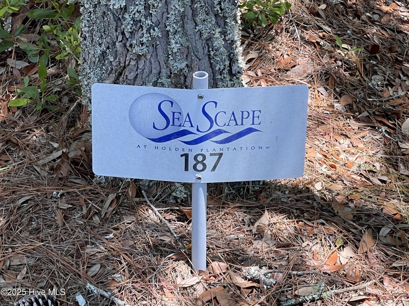 Welcome to Seascape! This stunning, absolutely beautiful, gated - Beach Lot for sale in Supply, North Carolina on Beachhouse.com
