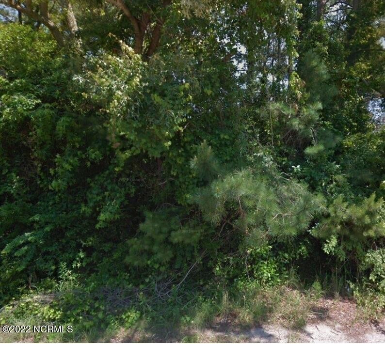 A hidden gem in Brunswick county.  Over 100 acres, approximately - Beach Acreage for sale in Shallotte, North Carolina on Beachhouse.com