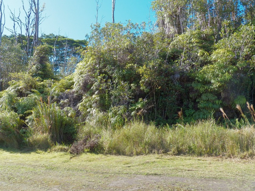 Own a piece of Paradise that is off of the grid. This property - Beach Lot for sale in Mountain View, Hawaii on Beachhouse.com