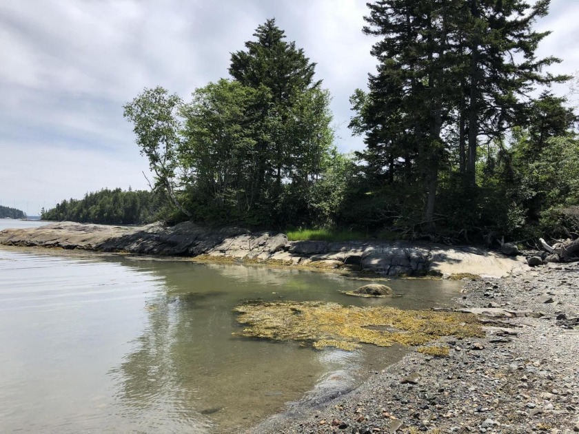 Affordable 6 acre oceanfront buildable lot is the Southern half - Beach Acreage for sale in Machiasport, Maine on Beachhouse.com