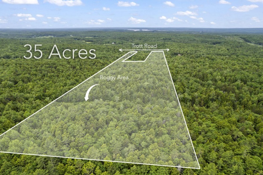 Grand opportunity to own 35 acres in Woolwich!  Wooded property - Beach Acreage for sale in Woolwich, Maine on Beachhouse.com
