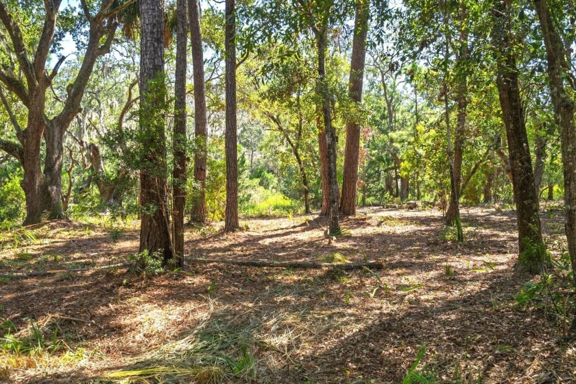 Beautifully wooded Marsh Front homesite in sought after Fishing - Beach Lot for sale in Edisto Island, South Carolina on Beachhouse.com
