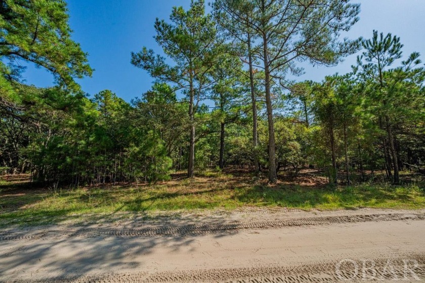 Escape to the tranquility of Carova Beach with this beautiful - Beach Lot for sale in Corolla, North Carolina on Beachhouse.com