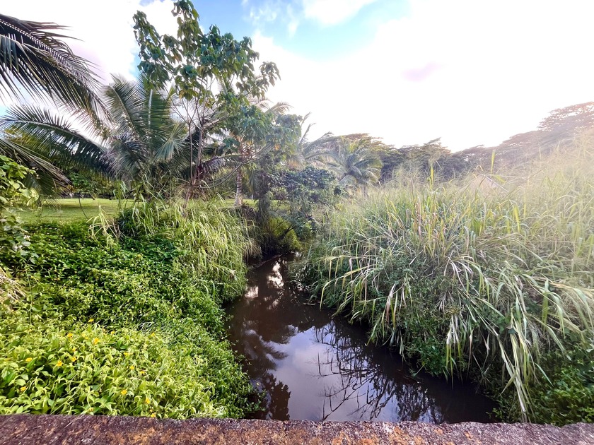 Own over 1.5 acres on Kauai, specifically limited to farming. It - Beach Lot for sale in Kapaa, Hawaii on Beachhouse.com