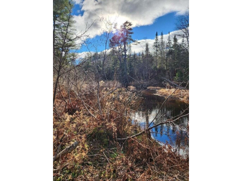 Wooded Privacy, Water Access, and Ready to Build -- 3.5 Acres in - Beach Acreage for sale in Belfast, Maine on Beachhouse.com