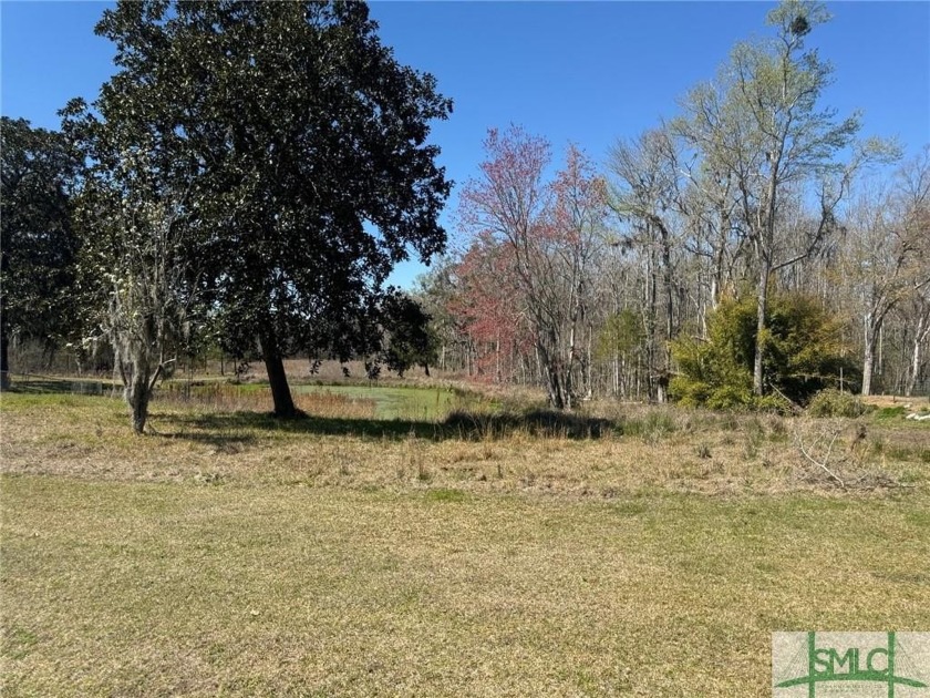 Searching for Land - Search no more! You found it! 4.65 acres on - Beach Acreage for sale in Townsend, Georgia on Beachhouse.com