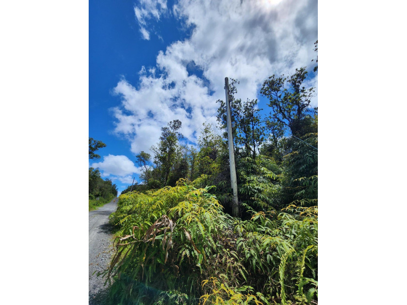 Highly desirable square shaped corner lot in the Fern Forest - Beach Acreage for sale in Volcano, Hawaii on Beachhouse.com