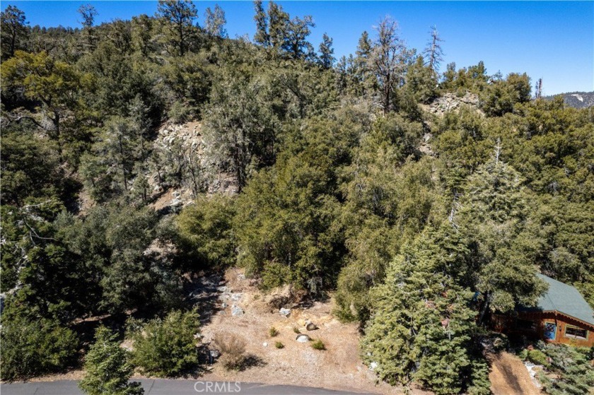 Welcome to the one-of-a-kind, four-season community of Pine - Beach Lot for sale in Pine Mountain Club, California on Beachhouse.com