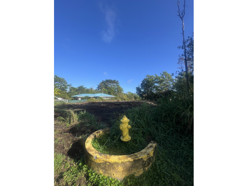 The best infostructure: To the door mail service, pave roads - Beach Lot for sale in Pahoa, Hawaii on Beachhouse.com